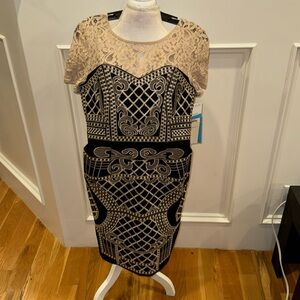 Beautiful embroidery on black and cream dress with lace top size 6